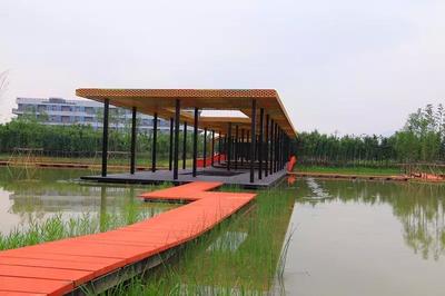 今天蘭溪揚(yáng)子江生態(tài)公園正式開(kāi)園_項(xiàng)目