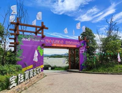 把課堂搬到泥土里，龍泉驛生態園打造校外勞動教育基地